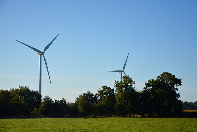 wind-turbines-2777478_640
